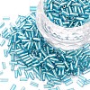 Plated Glass Bugle Beads SEED-S046-01A-23-1