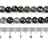 Natural Moss Agate Bead Strands G-J358-01-6mm-3