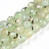 Natural Prehnite Beads Strands G-S345-10mm-28-1