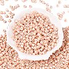 Baking Paint Pearlized Glass Seed Beads SEED-T008-03C-2