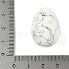 Natural Howlite Egg Shape Display Decorations G-Z094-01F-3