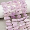 Natural Kunzite Beads Strands G-L657-E05-01-1