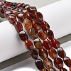 Natural Dragon Veins Agate Beads Strands G-G172-01P-1