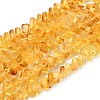 Natural Amber Beads Strands G-K376-C02-01-2