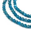 Natural Apatite Beads Strands X-G-Z057-B02-02-3