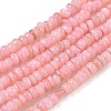 Dyed Natural Freshwater Shell Beads Strands BSHE-G039-07D-1