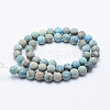 Natural Imperial Jasper Beads Strands G-K232-8mm-01D-2