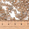 Picasso Baking Paint Glass Seed Beads SEED-A032-02A-13-4