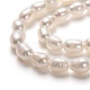 Natural Cultured Freshwater Pearl Beads Strands PEAR-L033-58-01-2