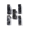 Natural Larvikite Beads LS-G-G137-01M-2