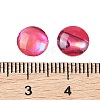 Natural Abalone Shell/Paua Shell Resin Cabochons SSHEL-K003-8MM-01-3