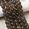Natural Smoky Quartz Beads Strands G-B167-A09-12mm-2