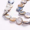 Natural Freshwater Shell Beads X-S00C20J8-4