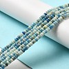 Natural Dolomite Beads Strands G-K350-A01-01A-2