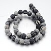 Frosted Round Natural Black Silk Stone/Netstone Bead Strands G-J338-14-10mm-2