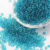 6/0 Glass Seed Beads X-SEED-J013-F6-19-1