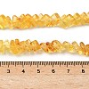 Natural Amber Beads Strands G-K376-C02-01-5