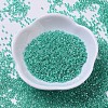 MIYUKI Delica Beads SEED-J020-DB0238-2