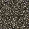 TOHO Round Seed Beads SEED-XTR08-0029-2