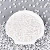 FGB Inside Colours Transparent Glass Seed Beads SEED-T009-01L-1