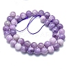 Natural Lepidolite/Purple Mica Stone Beads Strands G-M353-A01-10mm-2