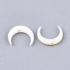 Natural Freshwater Shell Beads X-SHEL-T012-12-2