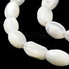 Natural Trochus Shell Beads Strands BSHE-E030-02C-4