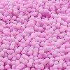 Macaron Color Opaque Frosted Glass Seed Beads SEED-K009-12B-05-3