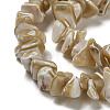 Natural Trochus Shell Beads Strands SSHEL-H072-09-3
