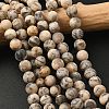 Natural Feldspar Bead Strands G-P295-06-8mm-1