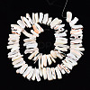 Natural Trochid Shell/Trochus Shell Beads Strands SSHEL-T014-41-2