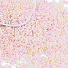 Glass Seed Beads SEED-K010-03I-1