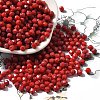 Baking Paint Glass Seed Beads X1-SEED-A032-02A-09-1