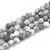Natural Tree Agate Beads Strands G-T106-038-1