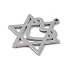 Non-Tarnish 304 Stainless Steel Pendants STAS-B062-19P-2