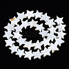 Natural Freshwater Shell Beads Strands X-SHEL-S278-01D-01-2