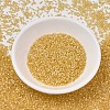MIYUKI Delica Beads SEED-J020-DB1801-2