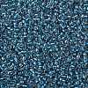 TOHO 8/0 Round Beads SEED-XTR08-0263-2