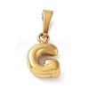 316L Surgical Stainless Steel Charms STAS-G315-01G-G-1