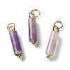 Natural Amethyst Pendants STAS-C120-01G-01-1