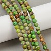 Dyed Natural Regalite/Imperial Jasper/Sea Sediment Jasper Beads Strands G-B124-C04-06-5