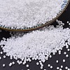 MIYUKI Delica Beads SEED-J020-DB0200-1