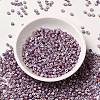 8/0 Opaque Colours Seep Glass Seed Beads SEED-F003-04B-11-2