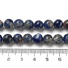 Natural Sodalite Beads Strands GSR8mmC013-1-4