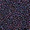 TOHO 11/0 Round Beads X-SEED-TR11-0515-2