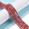 Natural Rhodonite Beads Strands G-C009-A18-2