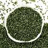 Baking Paint Silver Lined Glass Seed Beads SEED-H003-09D-3