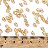 Glass Seed Beads X1-SEED-H002-A-A624-4