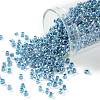 TOHO Round Seed Beads X-SEED-TR08-0782-1