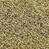 TOHO 11/0 Round Beads SEED-XTR11-PF0557-2